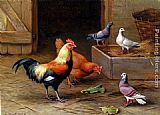 Edgar Hunt Chickens, Pigeons and a Dove painting